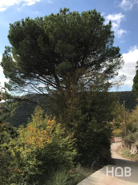 À vendre, Plot, 775 m², Budva