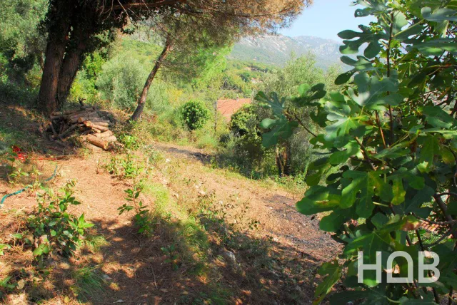 À vendre, Plot, 775 m², Budva