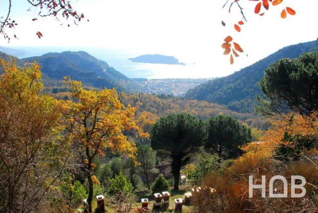 À vendre, Plot, 775 m², Budva