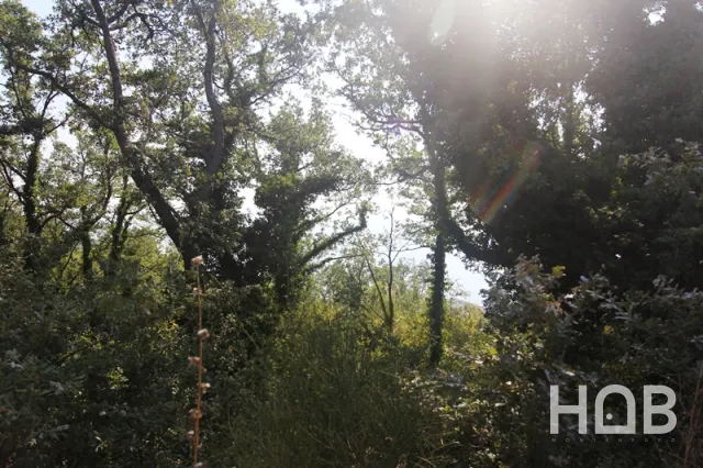 À vendre, Plot, 968 m², Budva