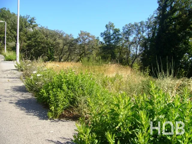 À vendre, Plot, 968 m², Budva