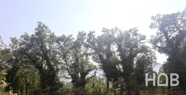 À vendre, Plot, 968 m², Budva