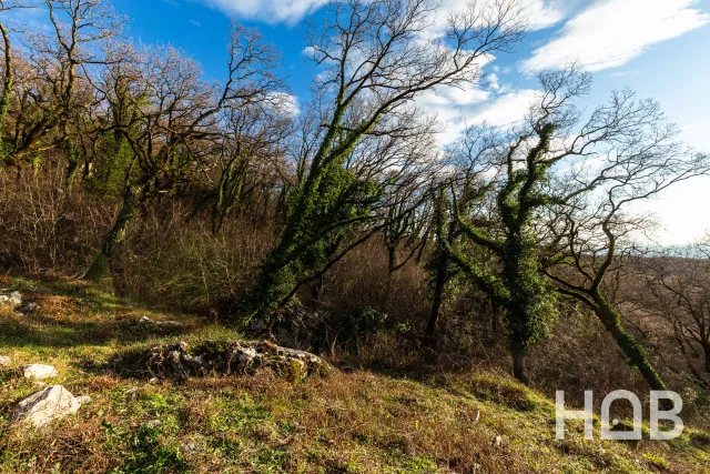 À vendre, Plot, 2170 m², Budva