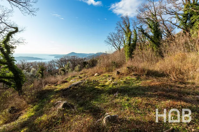 À vendre, Plot, 2170 m², Budva