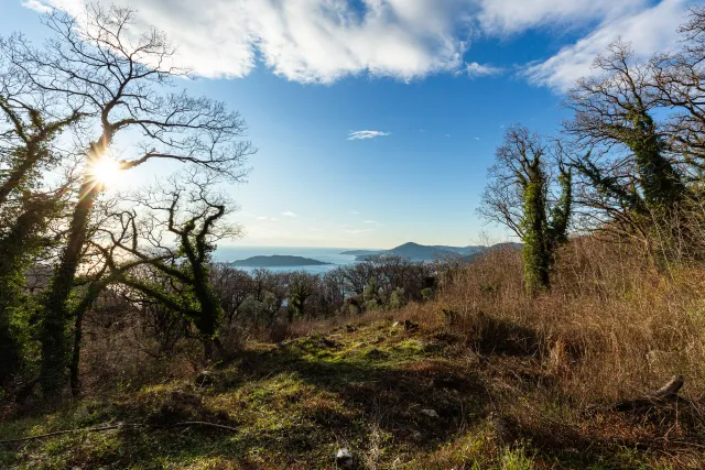 À vendre, Plot, 2170 m², Budva