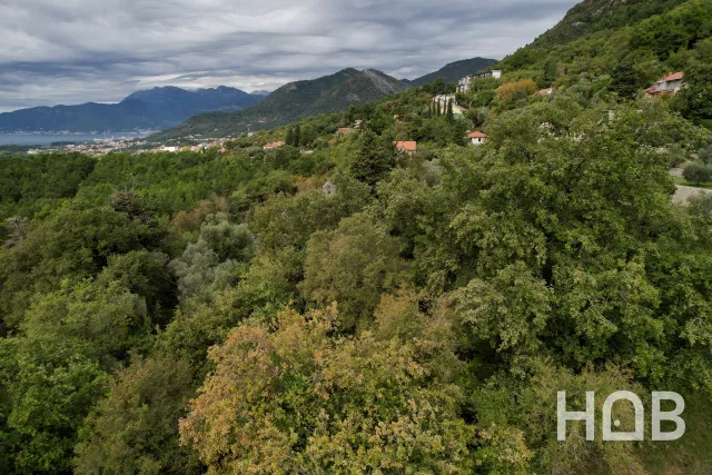 À vendre, Plot, 21495 m², Kotor