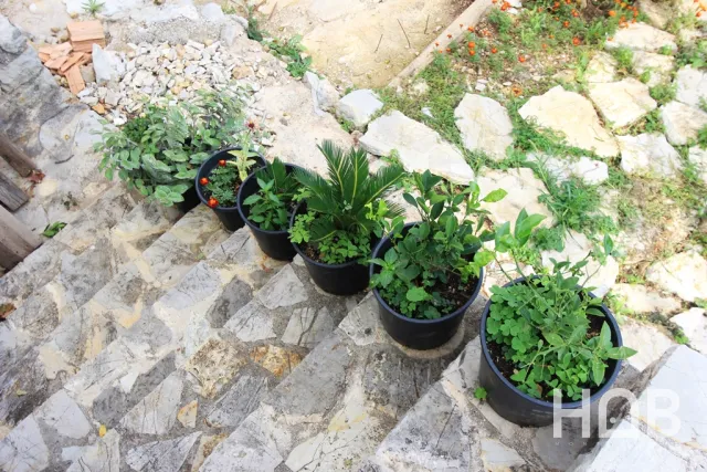 En venta, Casa, 64 m², Herceg Novi