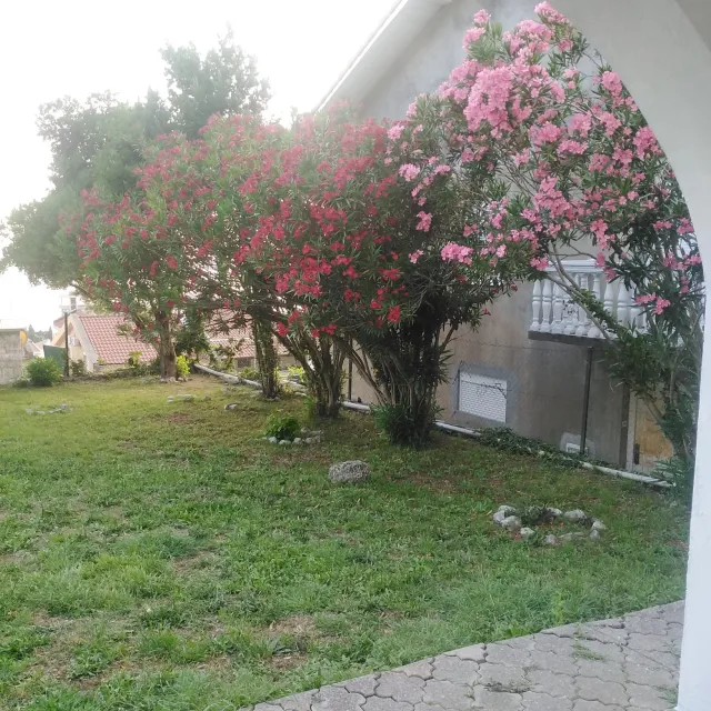 Satılık, Ev, 480 m², Budva
