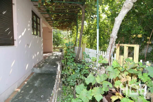 Satılık, Ev, 234 m², Bar
