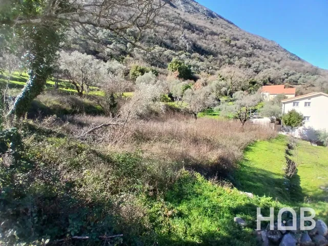 Na prodaju, Plot, 2400 m², Kotor