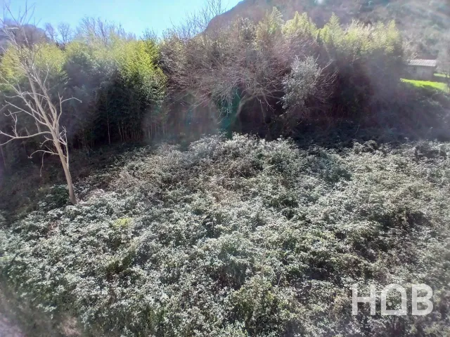 Na prodaju, Plot, 2400 m², Kotor