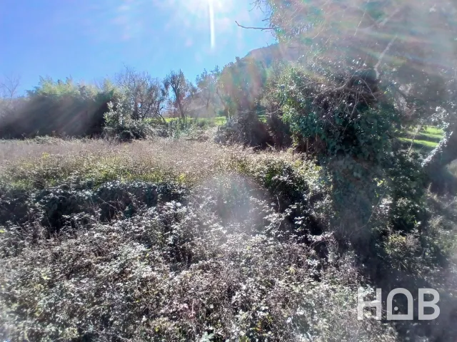 Na prodaju, Plot, 2400 m², Kotor