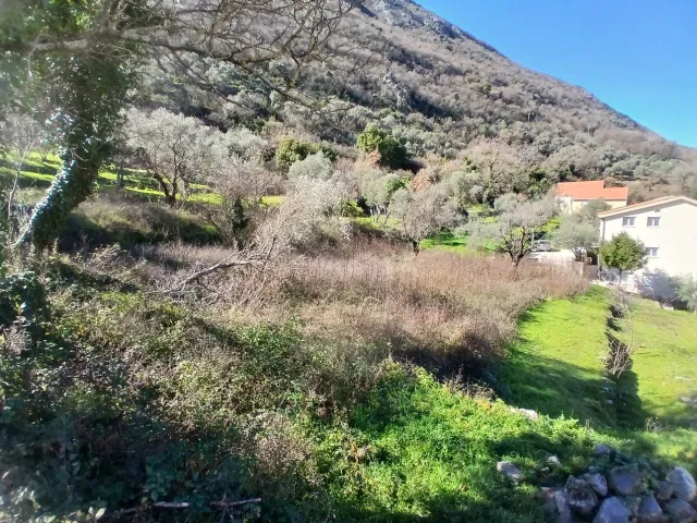 Na prodaju, Plot, 2400 m², Kotor