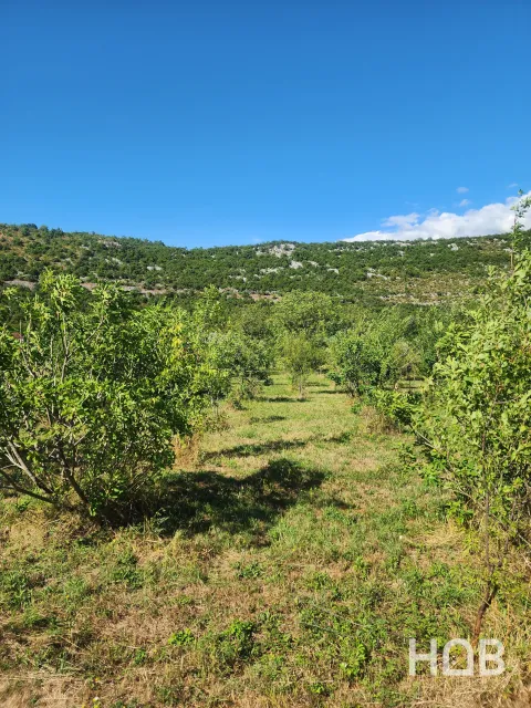 En venta, Plot, 5000 m², Montenegro