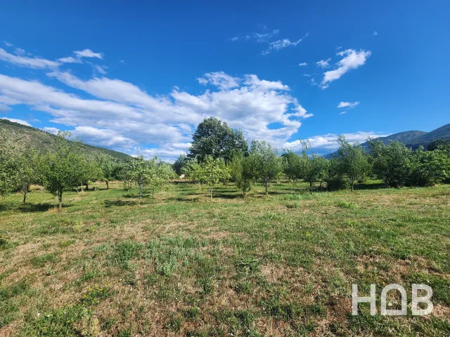En venta, Plot, 5000 m², Montenegro