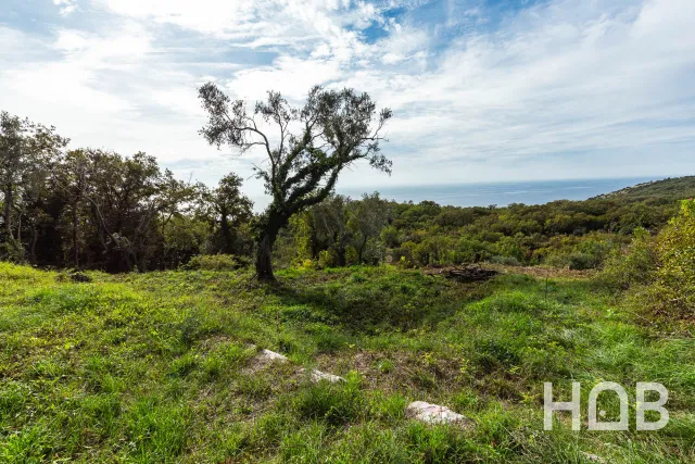 للبيع, Plot, 975 m², Budva