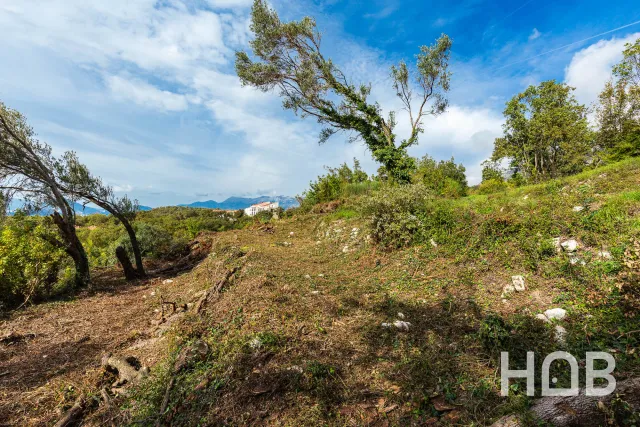 للبيع, Plot, 975 m², Budva