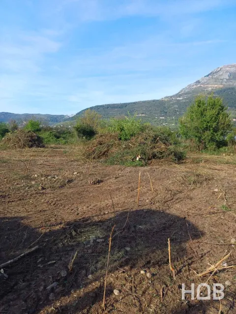 للبيع, Plot, Kotor