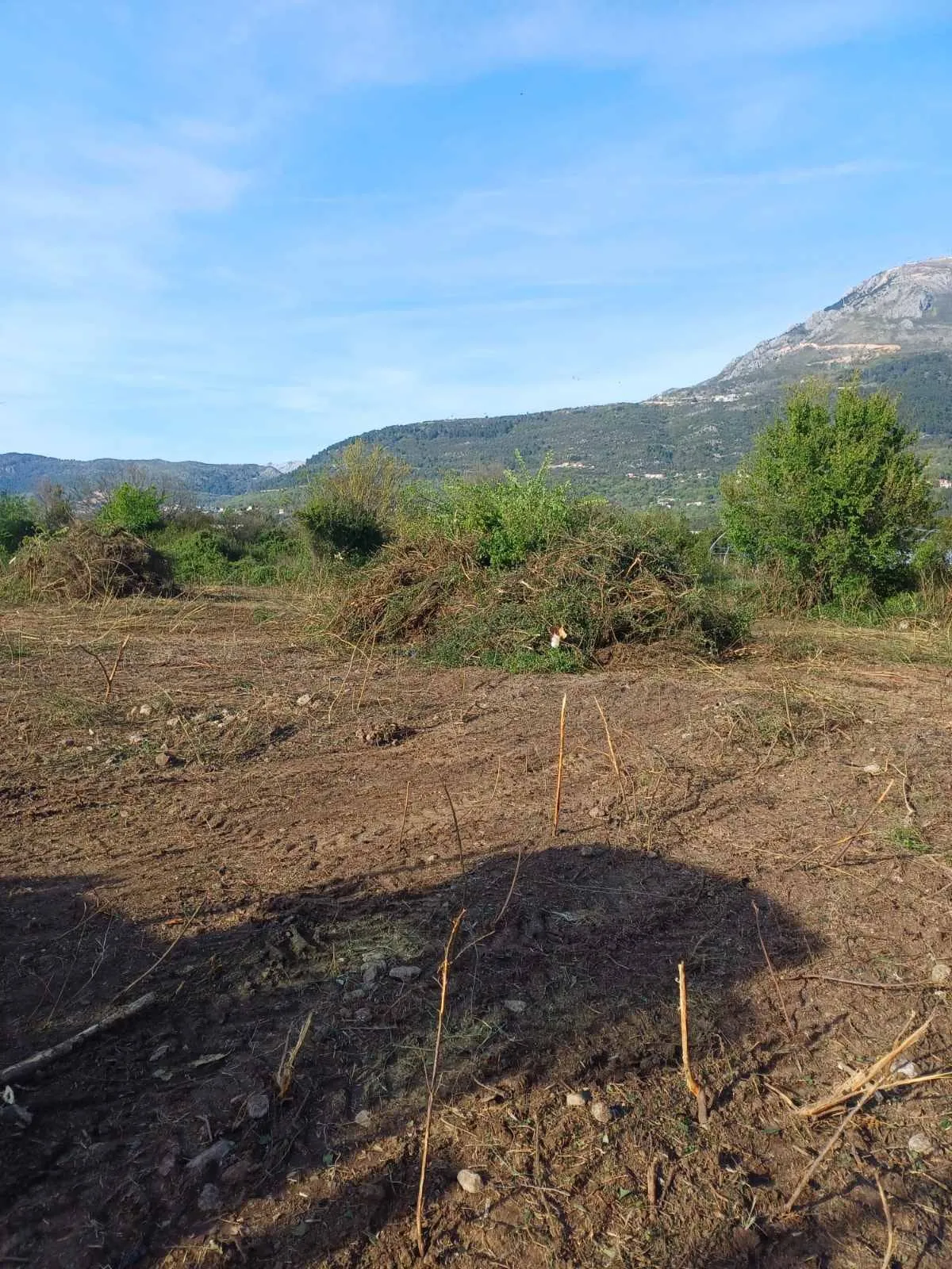 للبيع, Plot, Kotor