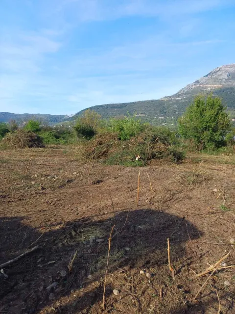 Na prodaju, Plot, Kotor