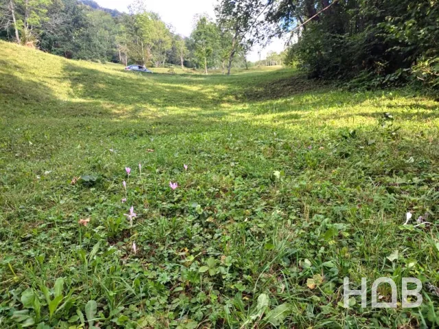 Na prodej, Plot, 1313 m², Montenegro