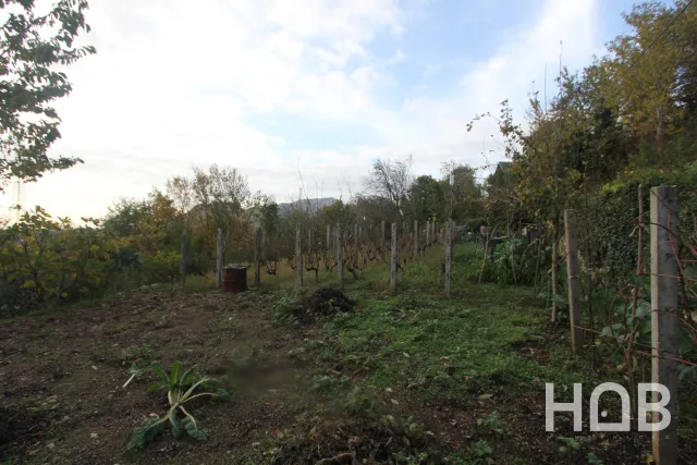 Satılık, Plot, 669 m², Herceg Novi