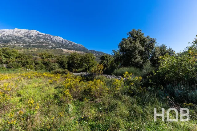 للبيع, Plot, 2003 m², Bar