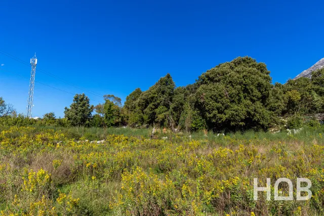 للبيع, Plot, 2003 m², Bar