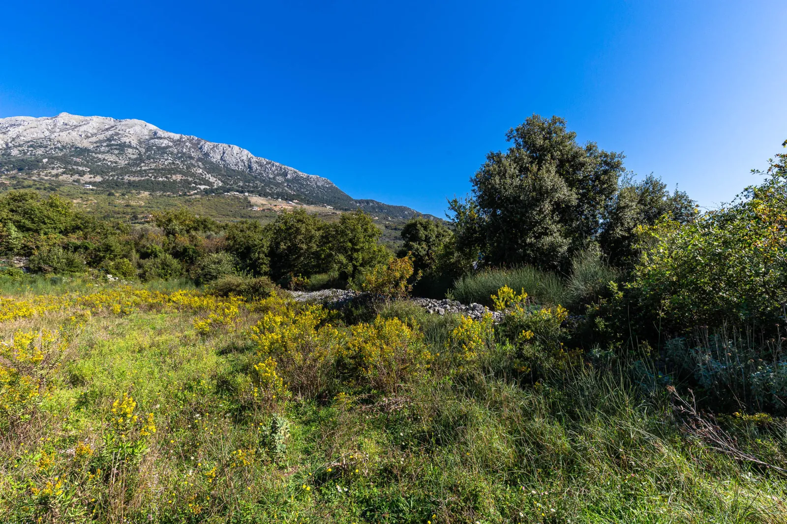 للبيع, Plot, 2003 m², Bar