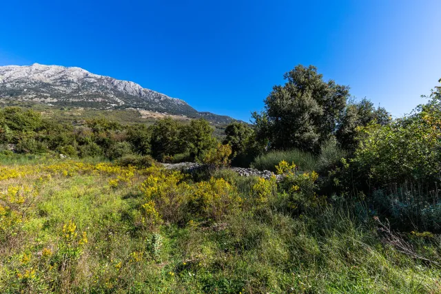 للبيع, Plot, 2003 m², Bar