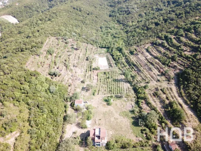 Na prodaju, Plot, Kotor