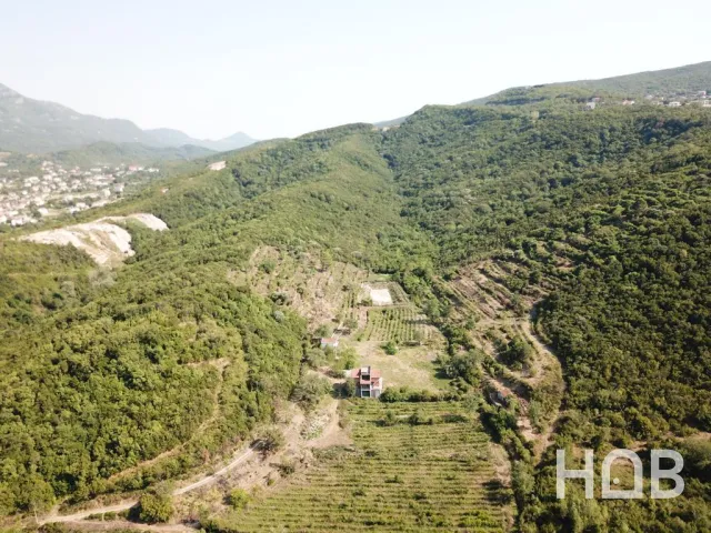 Na prodaju, Plot, Kotor