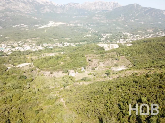 Na prodaju, Plot, Kotor