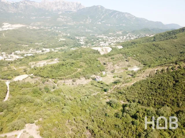 Na prodaju, Plot, Kotor