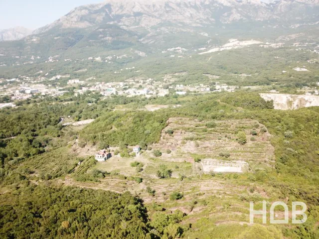 Na prodaju, Plot, Kotor