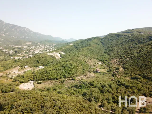 Na prodaju, Plot, Kotor