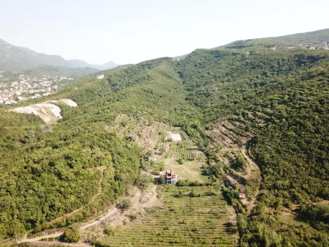 للبيع, Plot, Kotor