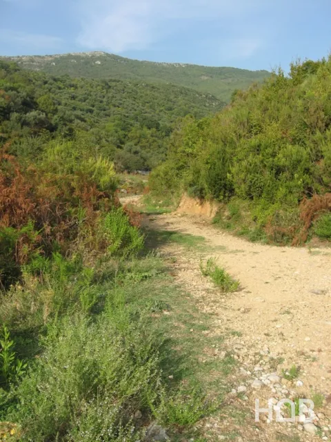 Satılık, Plot, 38868 m², Herceg Novi