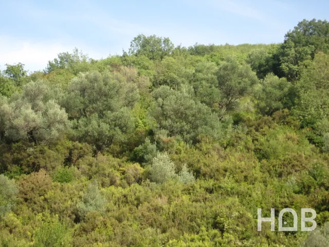 Satılık, Plot, 38868 m², Herceg Novi