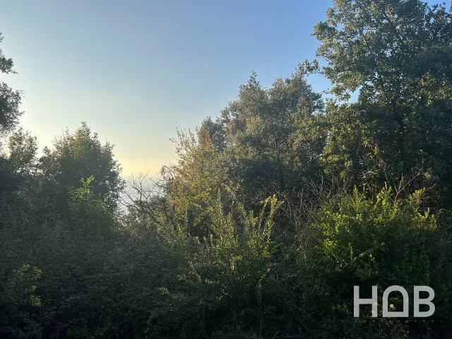 للبيع, Plot, 1589 m², Bar
