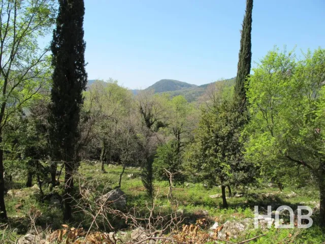 Satılık, Plot, 11502 m², Herceg Novi