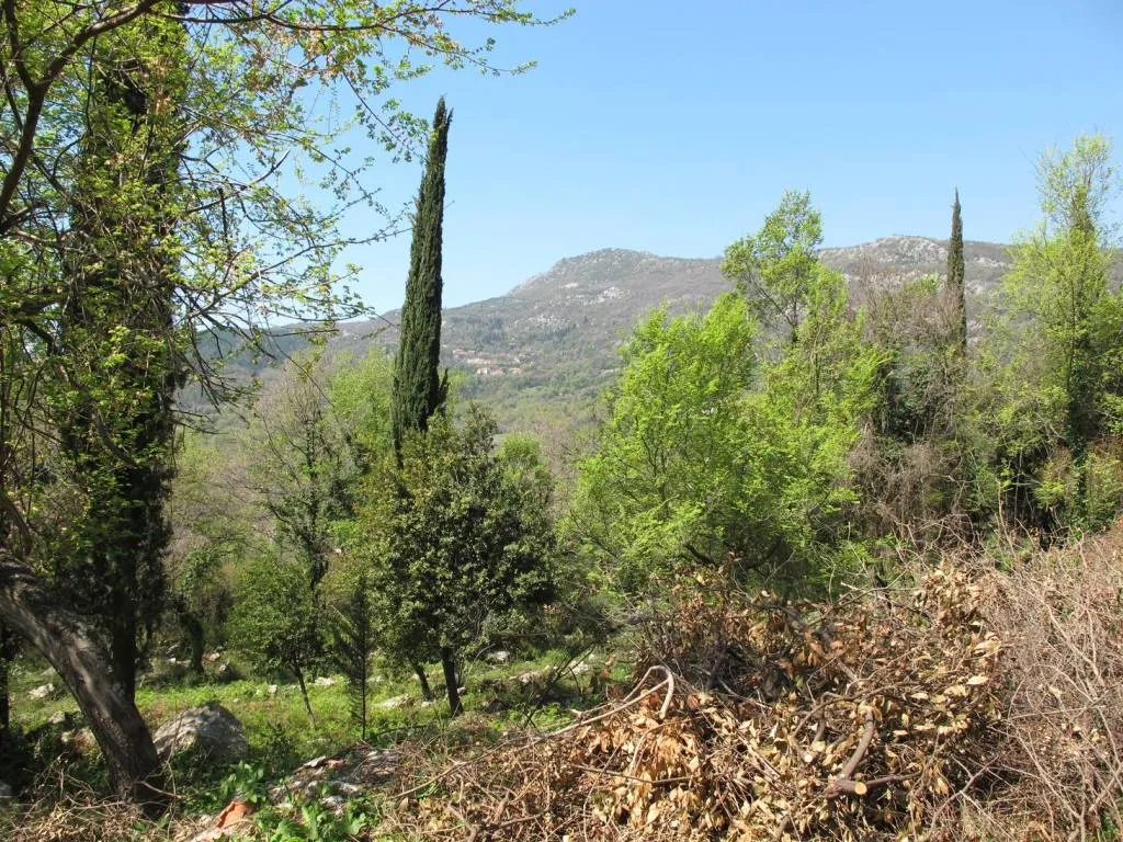 Satılık, Plot, 11502 m², Herceg Novi