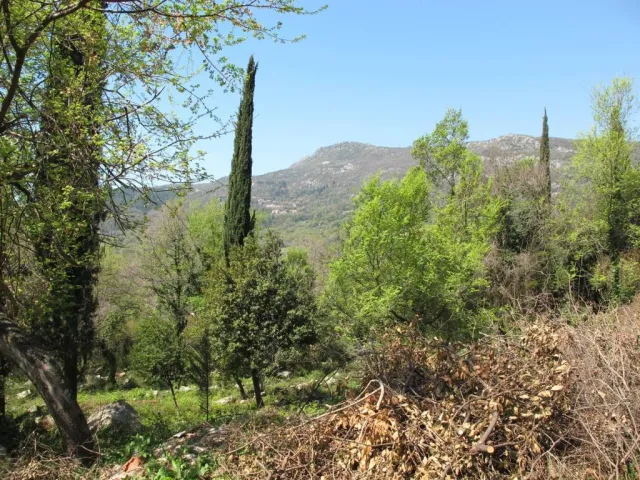 Satılık, Plot, 11502 m², Herceg Novi