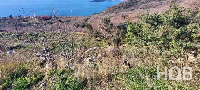 For Sale, Plot, 1850 m², Budva