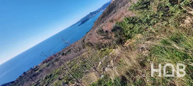 For Sale, Plot, 1850 m², Budva
