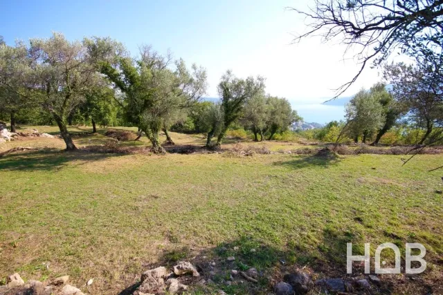 Satılık, Plot, Herceg Novi