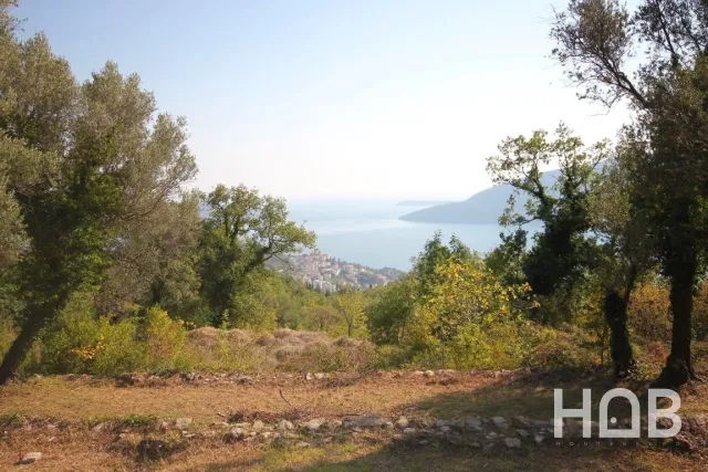 Satılık, Plot, Herceg Novi