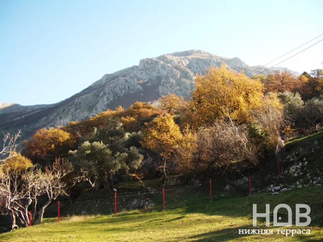 للبيع, Plot, 34000 m², Bar