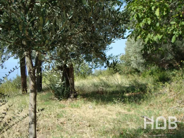 للبيع, Plot, 1700 m², Budva