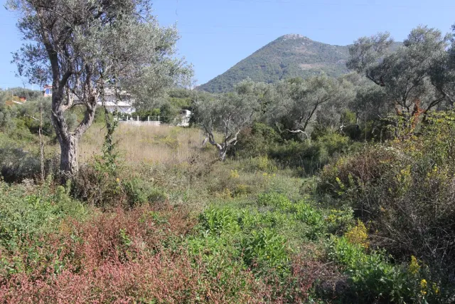 Na prodaju, Plot, 1312 m², Bar